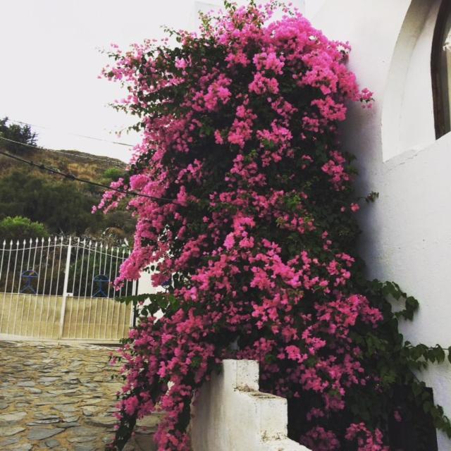 Mojacar Home With Mountain Views Eksteriør billede